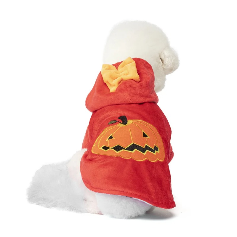 Pet new outfit pumpkin festiva - đánh giá và giá Winter Clothing Photo