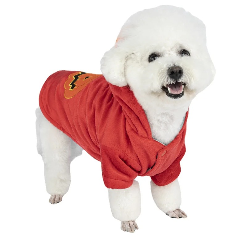Pet new outfit pumpkin festiva - đánh giá và giá Winter Clothing Photo